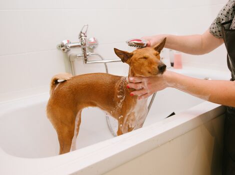 AdobeStock_151768862