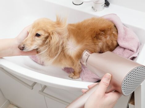 ペットサロン13