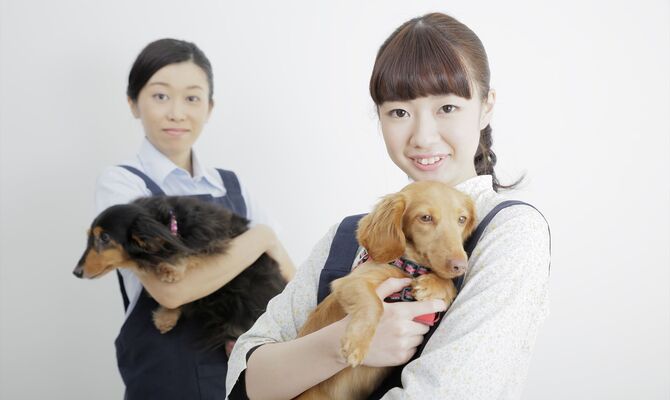 犬を抱えるトリマー