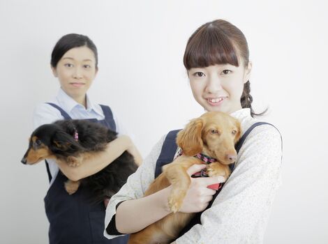 犬を抱えるトリマー