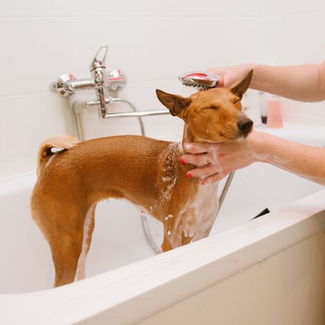 AdobeStock_151768862