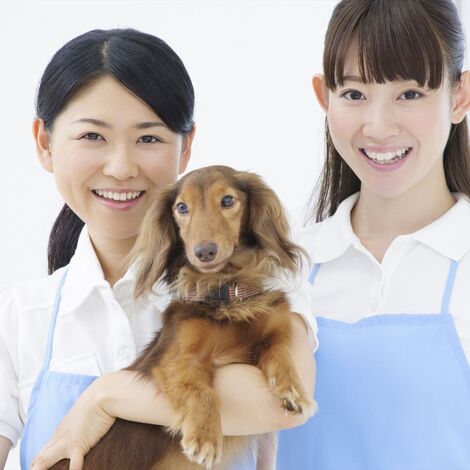 サロンのスタッフ_R