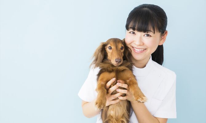 犬を抱っこするスタ府_R