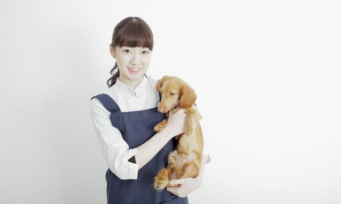 犬を抱える女性スタッフ_R