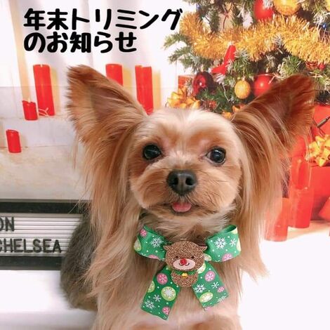 128252888_3219340731501470_5855098727346524032_n